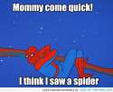 spider-man-meme-spider.jpg