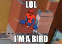 spiderman___i__m_a_bird_by_inf3ct3d_d3m0n-d5dg6w5.png