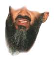 Beard.jpg