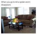 FB_IMG_1465009023040.jpg