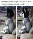 FB_IMG_1462834720142.jpg