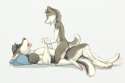 1539842_Mochashep_husky_loverns.jpg