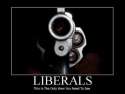 Kill Liberals.jpg