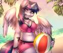 1424235005.mixideer_beach_twi.png