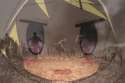Distressed Karen 36.jpg