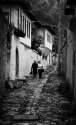 DSC_5215 bew b&w.jpg