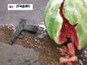 an melon.jpg