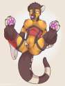 1400730124.spazzyhusky_coonixfullcolocommissionfemaleteasse.png