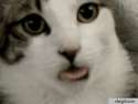 1465070431368.gif