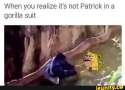 patrick why.jpg