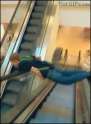 1416705838415.gif