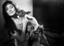 Audrey Hepburn Fawn.jpg