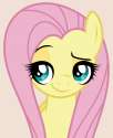 1170188__safe_fluttershy_vector_spoiler-colon-s06e11_flutter+brutter_artist-colon-ivacatherianoid.png