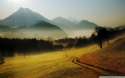 misty_morning_2-wallpaper-1920x1200.jpg