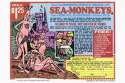 sea_monkey_pic_0.jpg