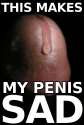 this makes my penis sad.jpg