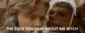 THE FUCK YOU SAID.jpg