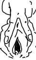 SketchBoard2016-56-05_11_56_47.jpg