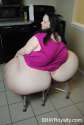 BBW 1347.jpg