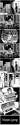 Whats going on in this thread!.png