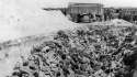 bergenbelsen124_v-contentgross.jpg