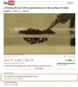 1326104216083.jpg