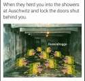 1465150330880.jpg