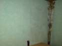 DSC00003.jpg