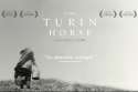 The-Turin-Horse.jpg