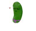 pickle.png