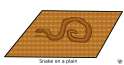 snake on a plain(Gears).png