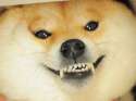 tumblr_mj6sxtIxxH1rkn5ozo2_1280.jpg