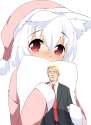 awootrumppillow.jpg
