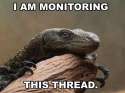 900x900px-LL-8469b3ed_i-am-monitoring-this-thread.jpg