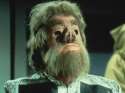 !Pig nose.jpg