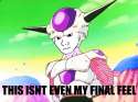 final feel.jpg