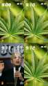 GBush91169dankmemes(2).png