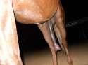 tumblr_n2npr4s4GH1s374yho2_1280.jpg