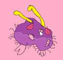 venonat.png