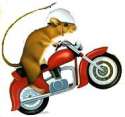mouse&mcycl.jpg
