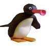 noot.jpg