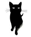 cat-1287594_1280.png