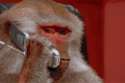 1465216409056.gif
