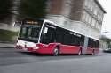 citaro.jpg