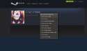 Rina steam.jpg