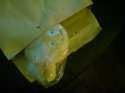 DSC00007.jpg
