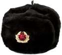 black-ushanka[1].jpg