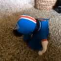 1407511845606.gif