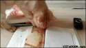 53e3583f-c7ac-49ba-8f19-cd2276178431.gif