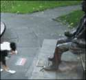 1408233105711.gif